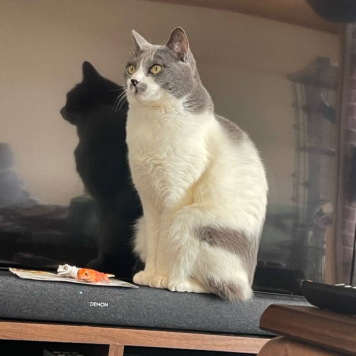 10a6d470 b3d2 4007 a807 36f51a160557 1706515387295