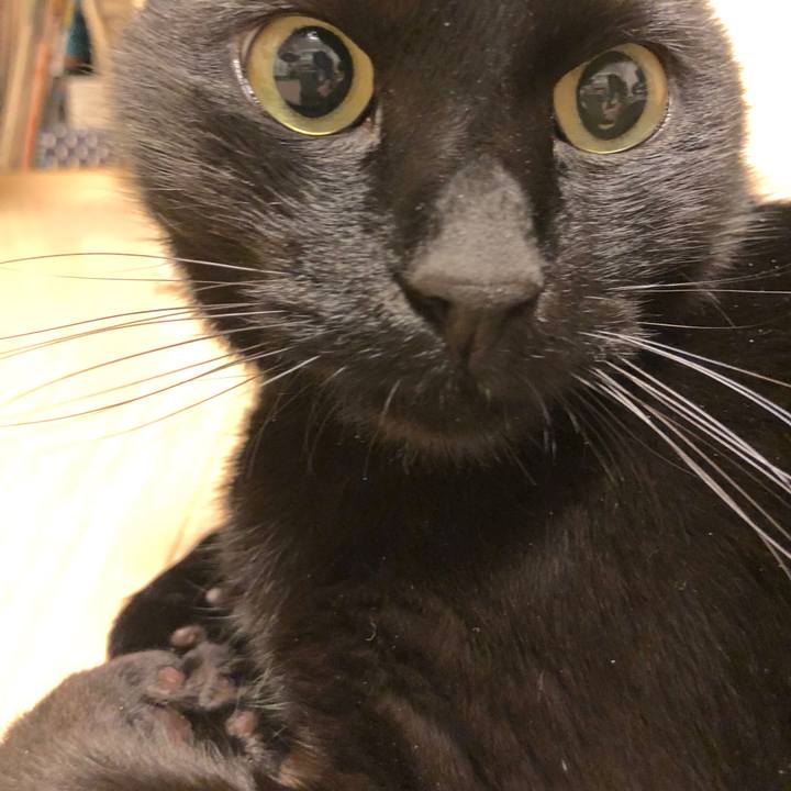 10a6ddd7 cde0 491d b157 2457638f88d2 1517017911663