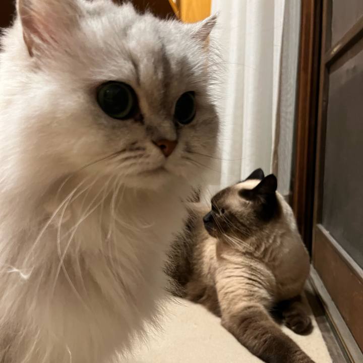 10a6e581 bde9 4347 9a0b d542e65cec17 1633435023240