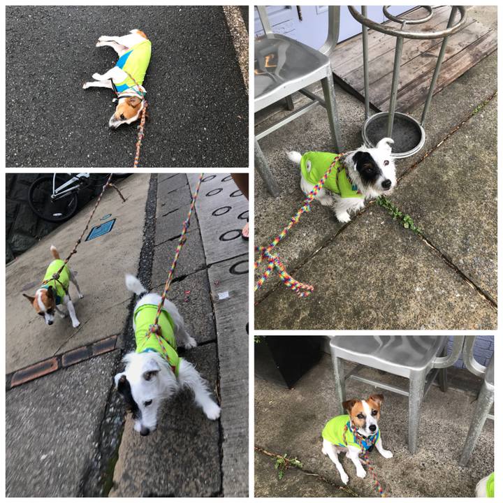 10a6ed1b 9ca5 4cd4 b682 fb2a6734ff13 1535854404606