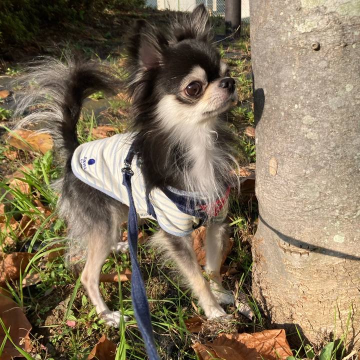 10a71bb1 3a12 4aba bbb2 a0eec4390851 1667482667979