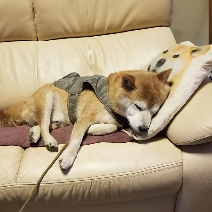 10a72821 0be4 4a49 8a30 77051b856d32 1677146700123