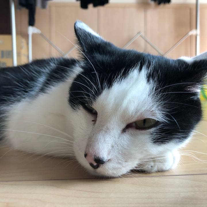 10a73be1 0ce9 4533 be61 5fd6ca3f51d0 1569990411626