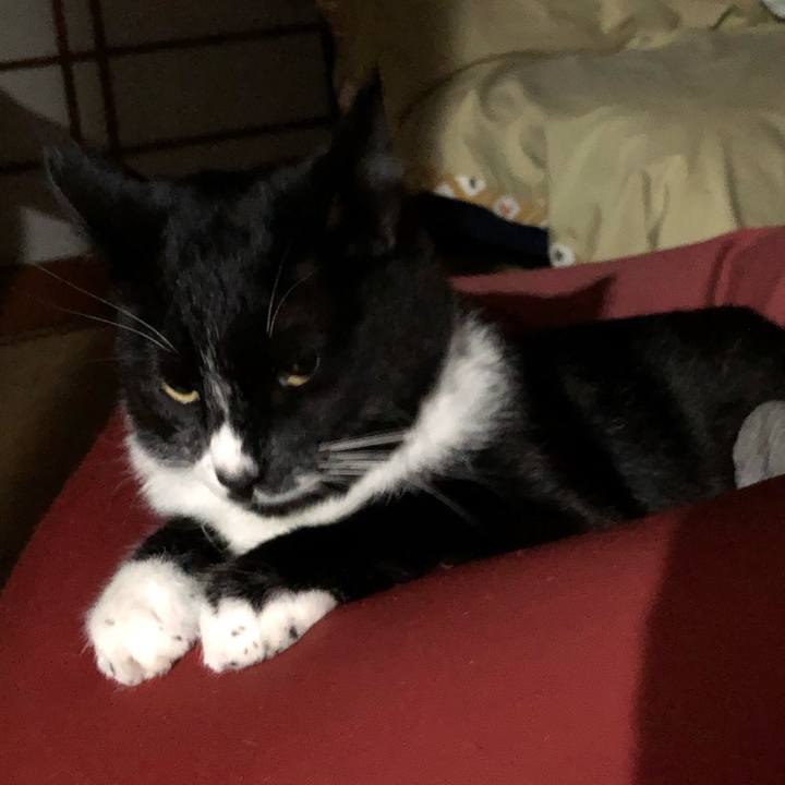 10a7555b 599d 40ec 8d8d d9d76d050825 1574135313409