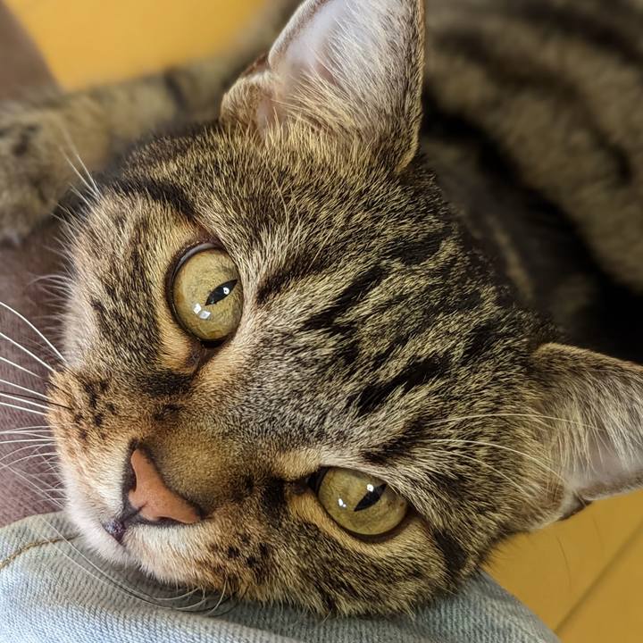 10a76752 8b32 4f35 8d6d d15291a8cf95 1685367502241