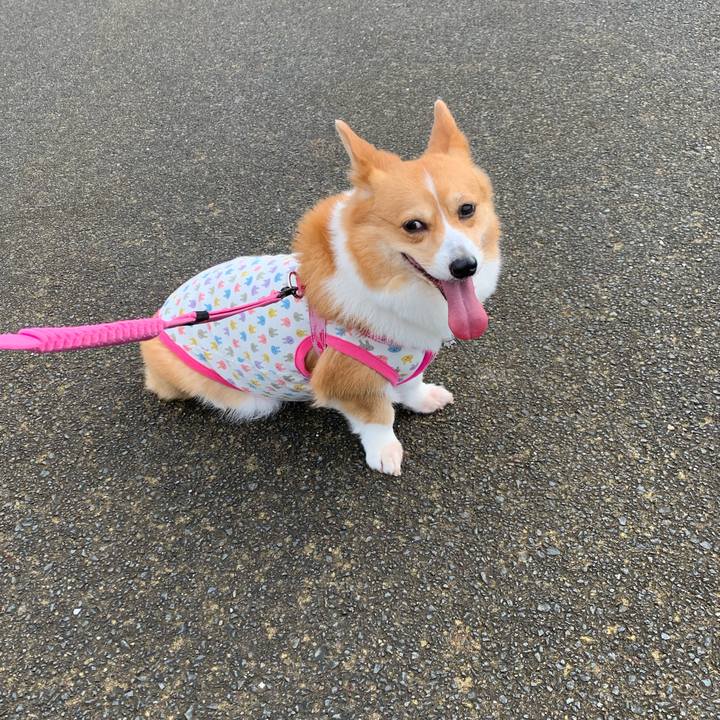 10a7874f bdf3 4fbf b75d 64e8cf3b50b3 1594510406758