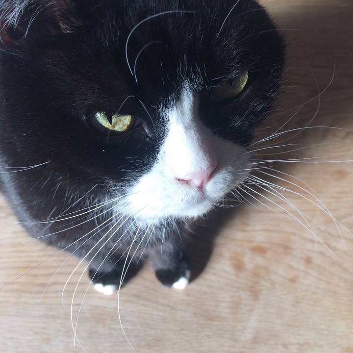 10a7c12b 62b9 423a 9845 75cdd9b16483 1515803856609