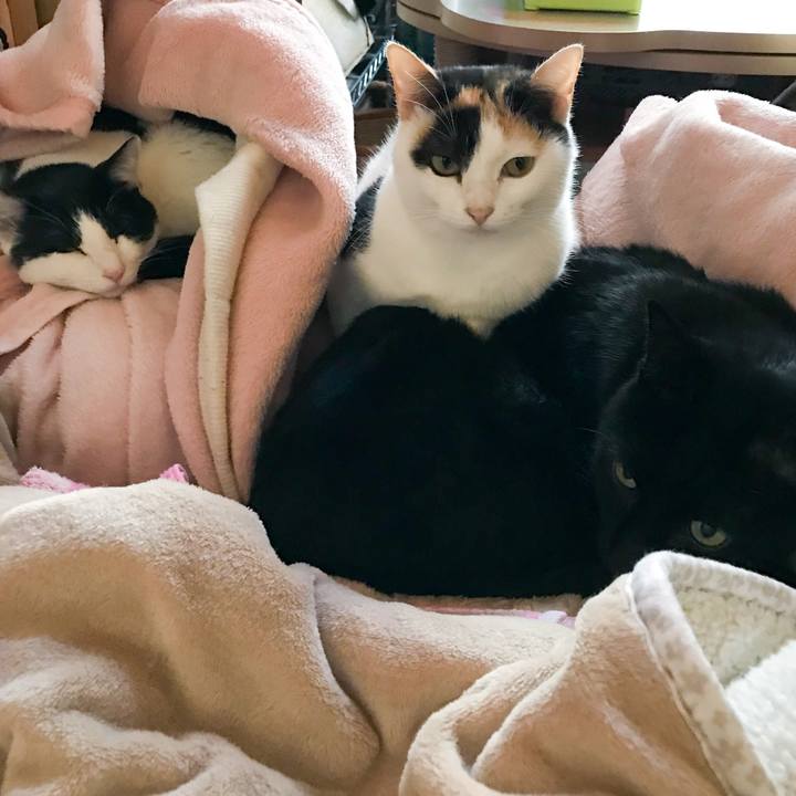 10a7c1a2 c5a3 4f9c b7e1 51186b38034e 1513780059556