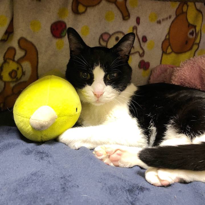 10a7c6ab 782c 4e80 b5c0 c02cdc420786 1575542667636