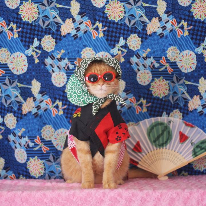 10a85662 78a6 4ad9 9336 5607230b550c 1659491649126