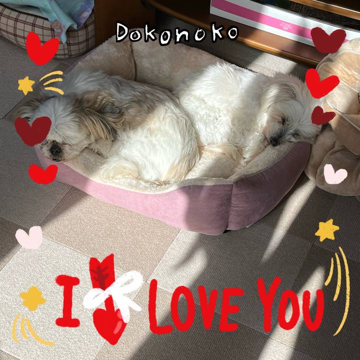 10a86164 efc4 4aa6 8f9f 9d7e4d893980 1706762622705