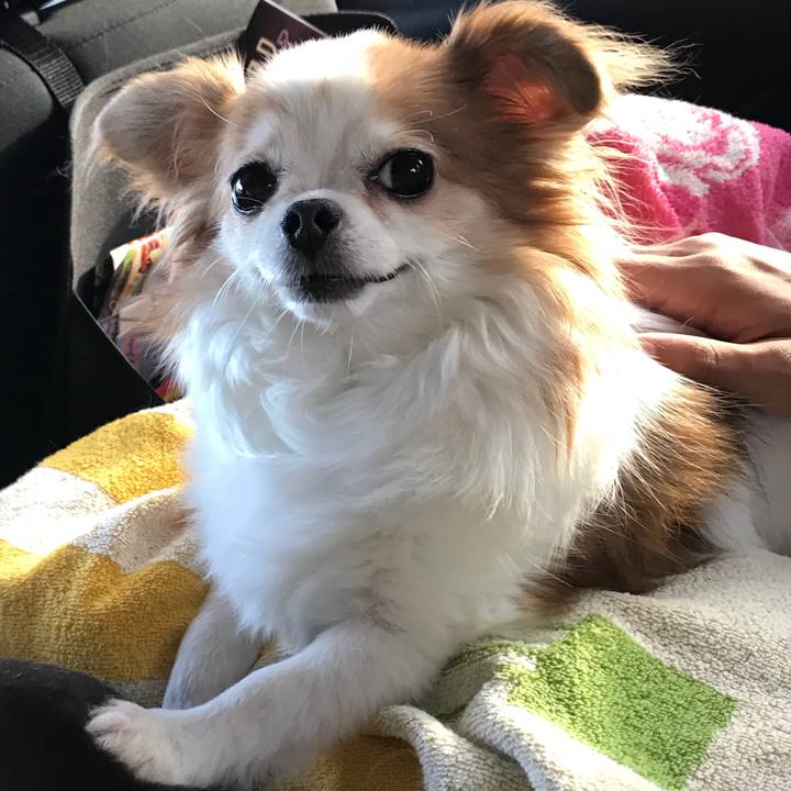 10a86227 ac5b 4218 a391 976bf0d29d66 1567259509148