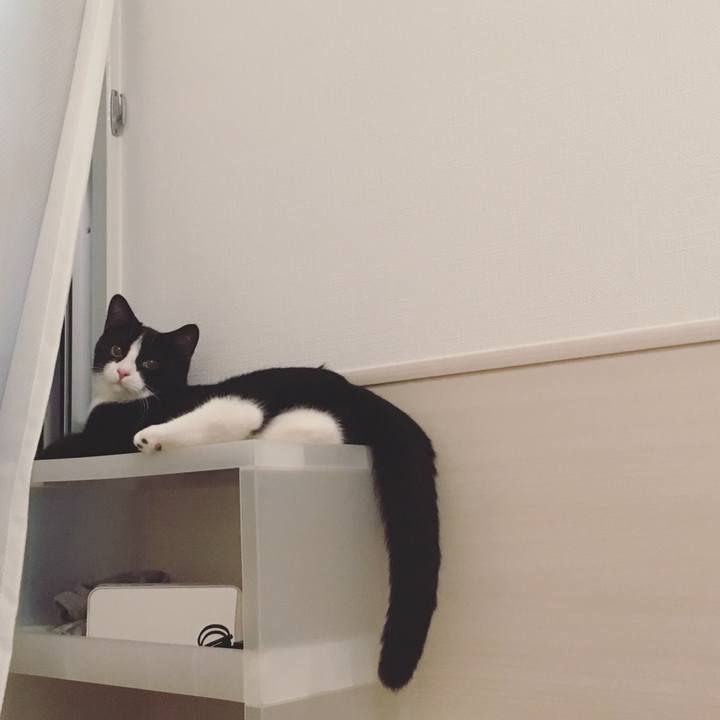 10a87c8e 9653 4795 9ffb fa63fbc99db9 1532689609805