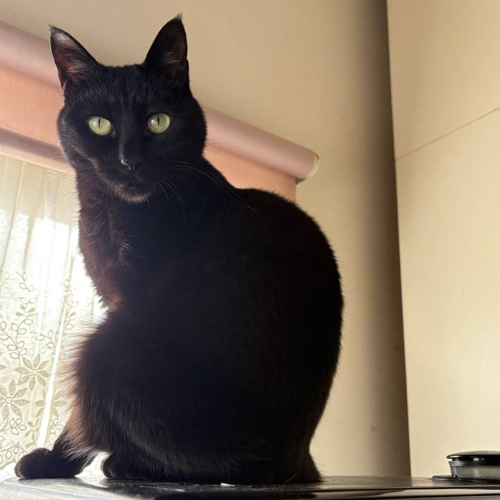 10a8d5f1 5016 43b1 a27e e1d619e57e90 1763803081398