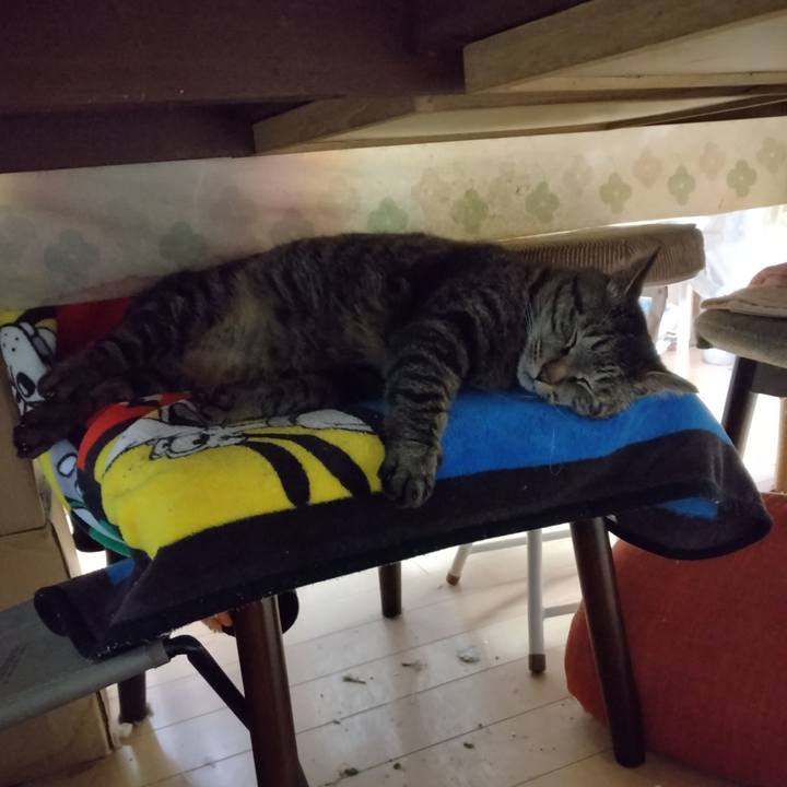 10a90b34 33fb 408a b7fb 2df1a6dec170 1682078547209