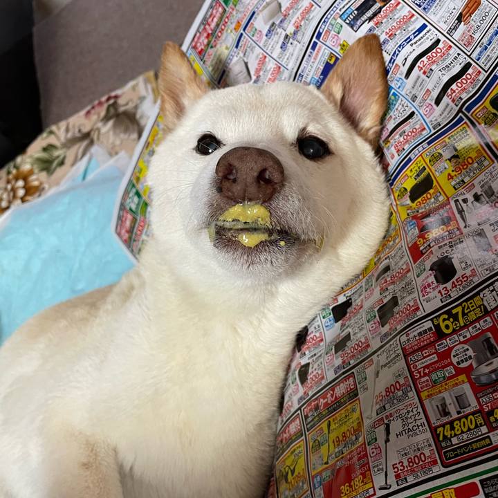 10a915d9 cb7d 403c 893d ffce2a400b98 1659942194562