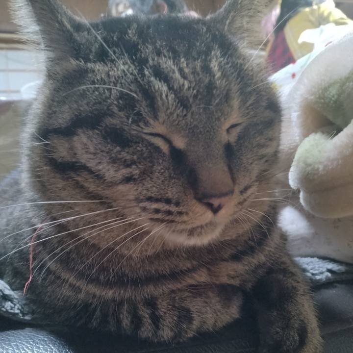 10a9717b 8740 4cae 8223 b761817b1fb2 1672486406749