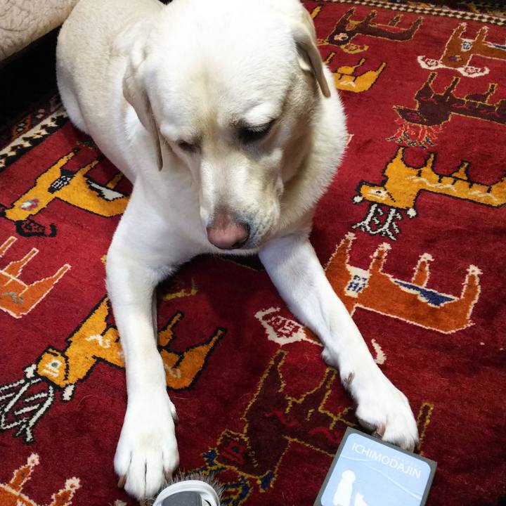 10a99d09 9294 4764 8a1c 4f689ece42ab 1571969473797