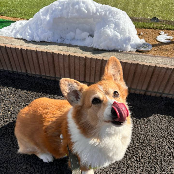 10a99f7e eb8c 4d26 a4a6 93ab53b62044 1770603195923