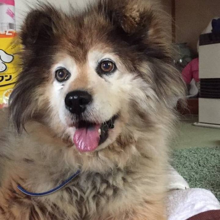 10a9db3b c6e1 473f 86d8 712e6f8bbdde 1603785233926