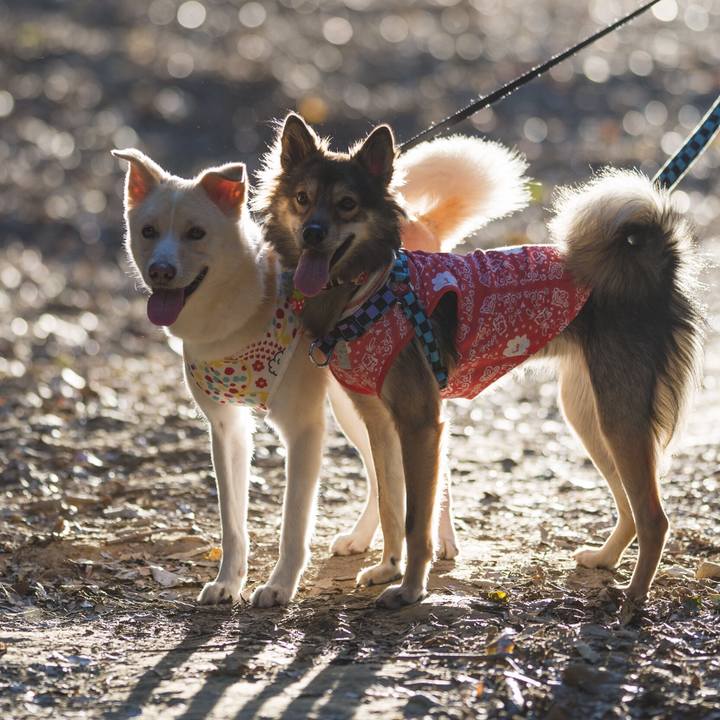 10a9f315 3be1 4e21 8ae3 1fd49fbe8810 1540480888723