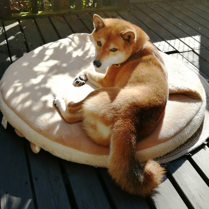 10a9fc85 e71a 4589 b340 b8951488df4d 1580274485357