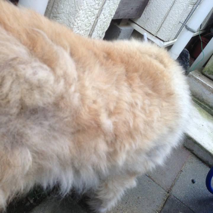 10aa0aa9 0a8d 4a4a a1b6 ed2e4975023c 1598773248469