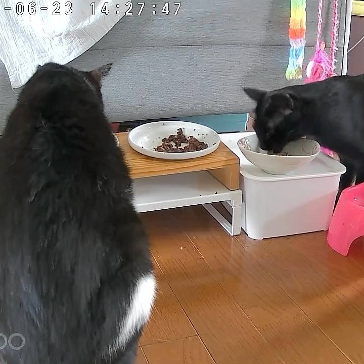 10aa1a88 452f 4e30 b58c 036acf05db99 1750674634777