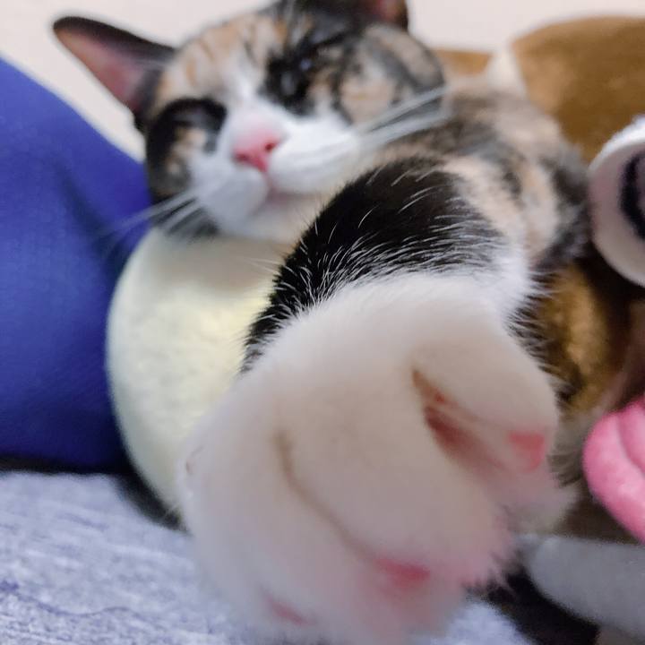 10aa6a63 56e6 4e52 ab9a 4fcbe3933dda 1569321159623