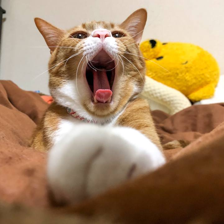 10aa9418 d422 420e 919b 41be124f2d12 1589203620789