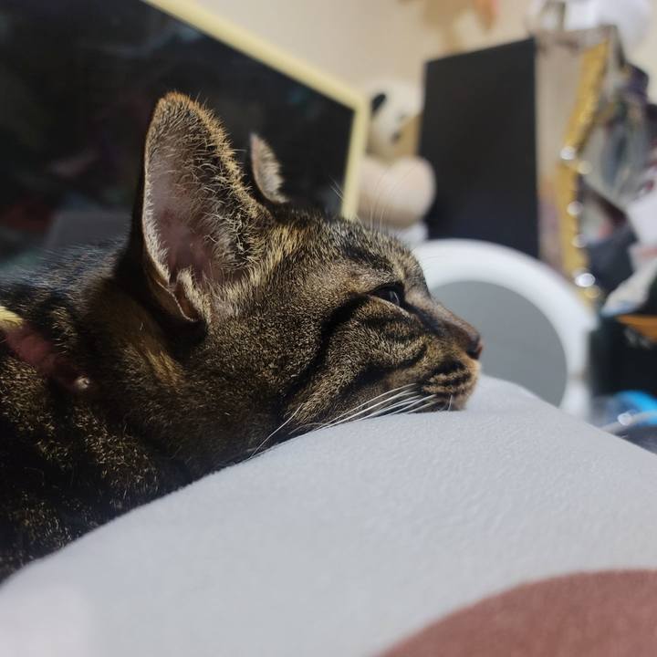 10aae5e8 9af6 47bd 962c 6b7d863400e3 1632234685290