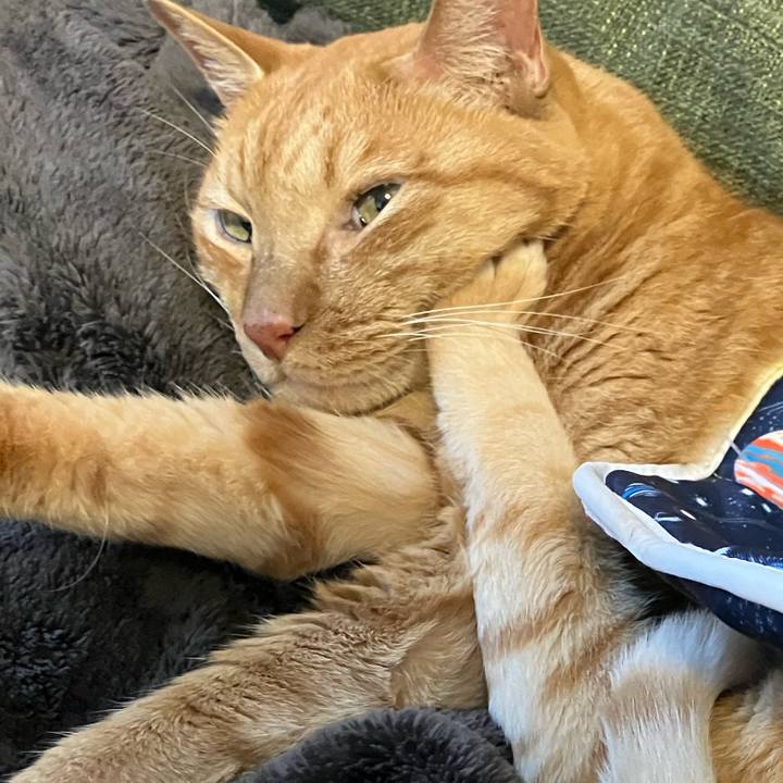 10ab0a79 9c08 4c95 b2be 7f9e33086987 1758353778652