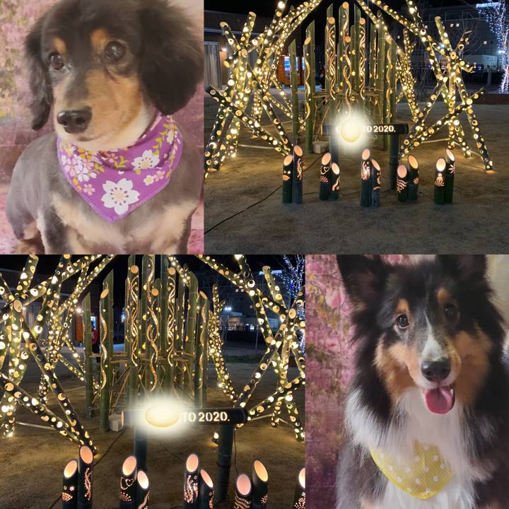 10ab4e13 d4ad 410e bdea 8e9a1bcac127 1584049573434