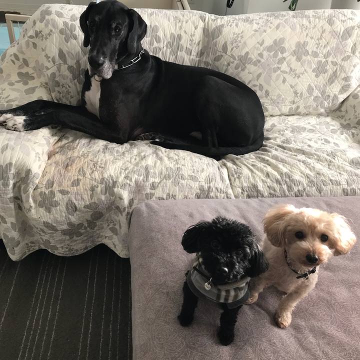 10ab7bc1 7ae4 4c6e 82d6 6c670eb117ab 1511217484463