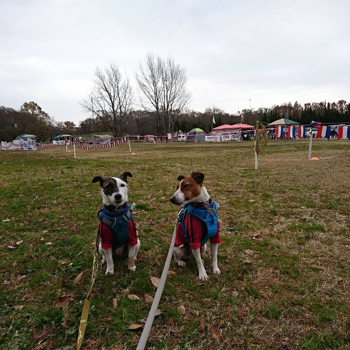 10ab92d9 433e 40b6 96ef cd8e8cf1e499 1544926340192