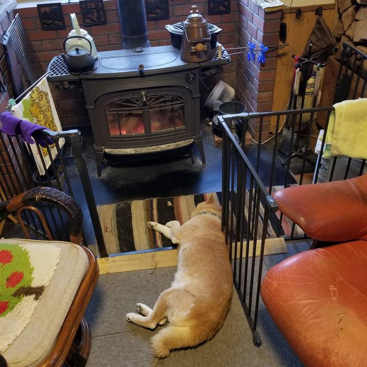 10abce2d 5e13 4532 b377 35ea15ab14f4 1706139664371