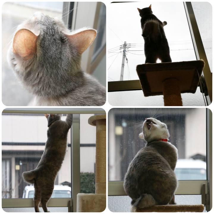 10abeca6 a3cb 4de4 91a4 5a35d72629f1 1551319005227