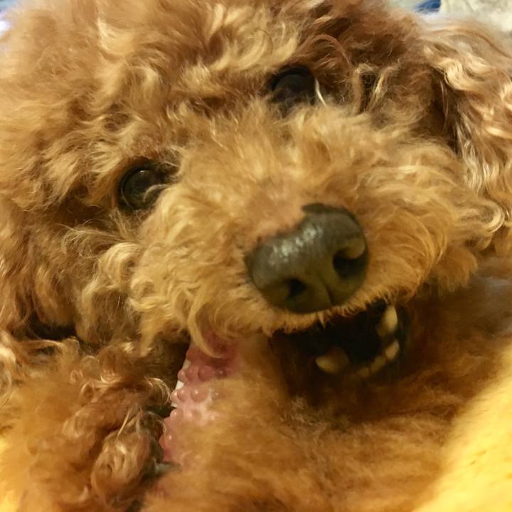 10abfd41 e330 4cc5 83ac 1d27044d6f3c 1539003524666