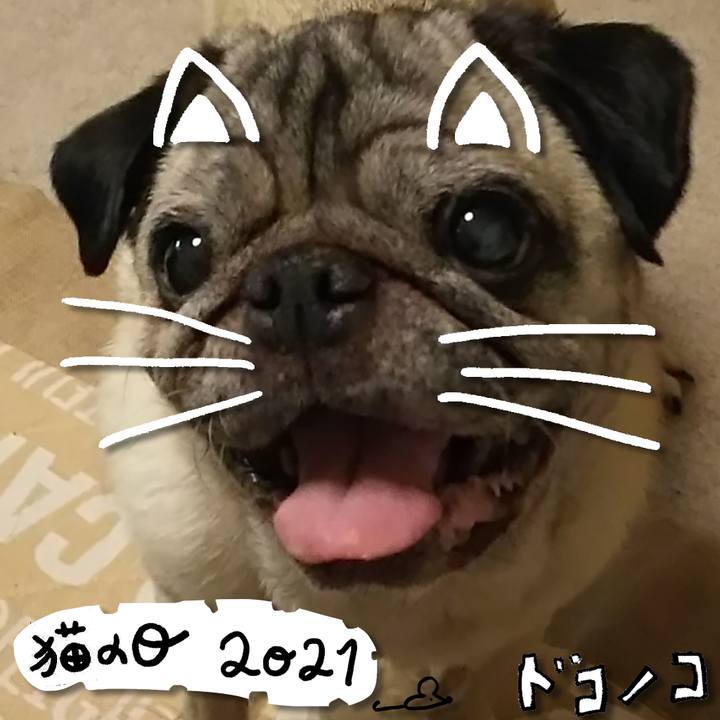 10ac297d d831 490e 89b5 8abb36fbd663 1613989678481