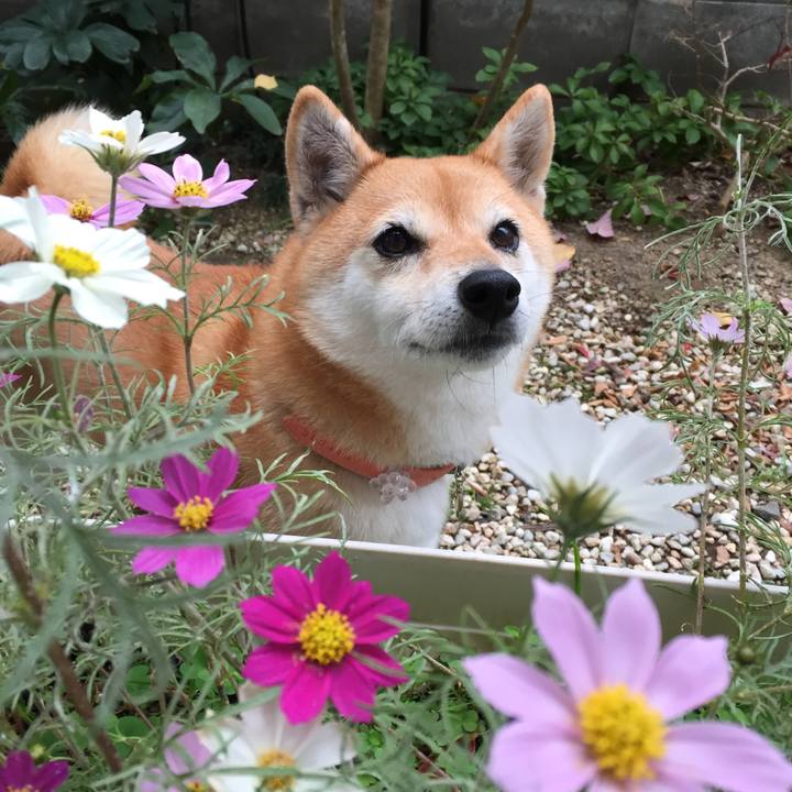 10ac3b5a a878 4642 b442 1e0ac581a96c 1542589284241