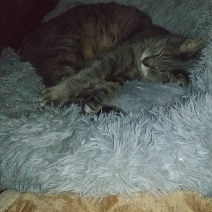 10ac86d5 6a4d 48d1 b0b7 367134a3d1f0 1612752670981