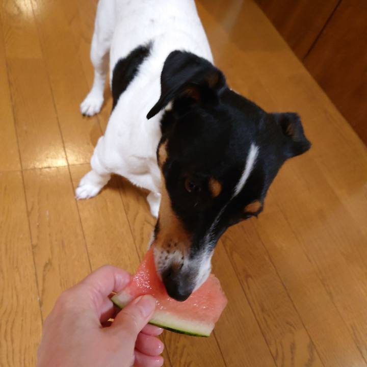 10aca207 448d 4f1f b34d 2c0f6cac46eb 1685276468638