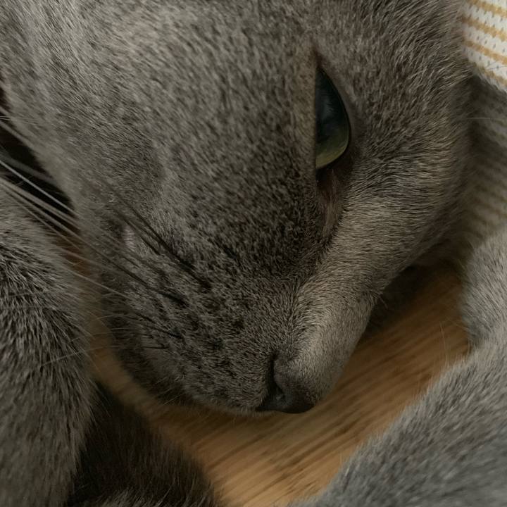 10acd879 db1a 434b 89ea 62d5dd77d1f1 1570267862702