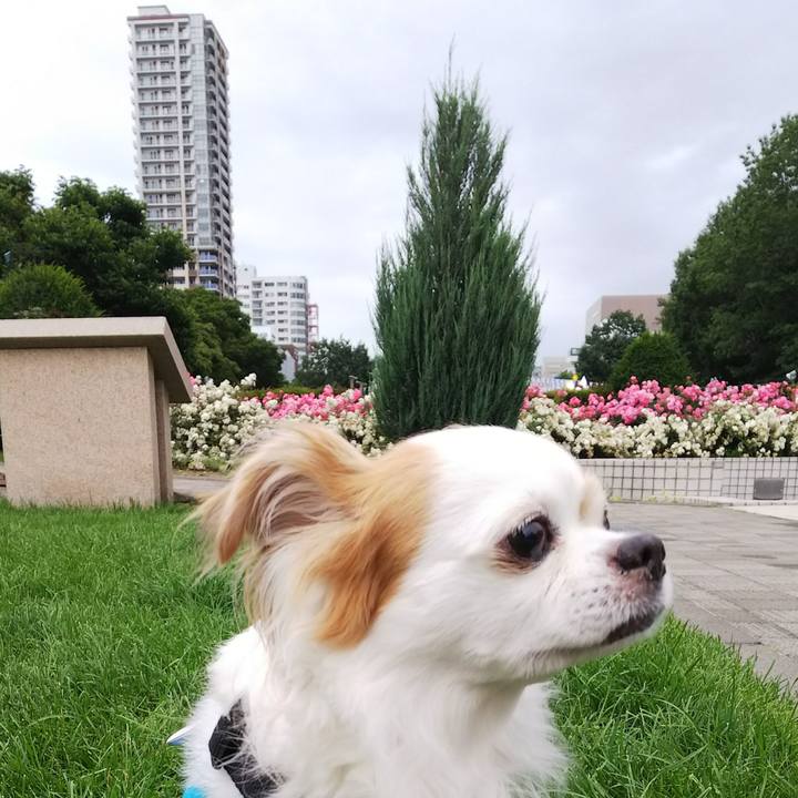 10ace03d 25dc 4de2 ad48 0ec0788c92ac 1531816376153