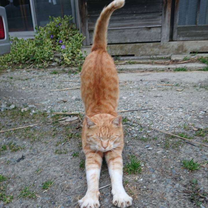 10ace5fc e009 4431 b8d3 42c65834901d 1588323217140