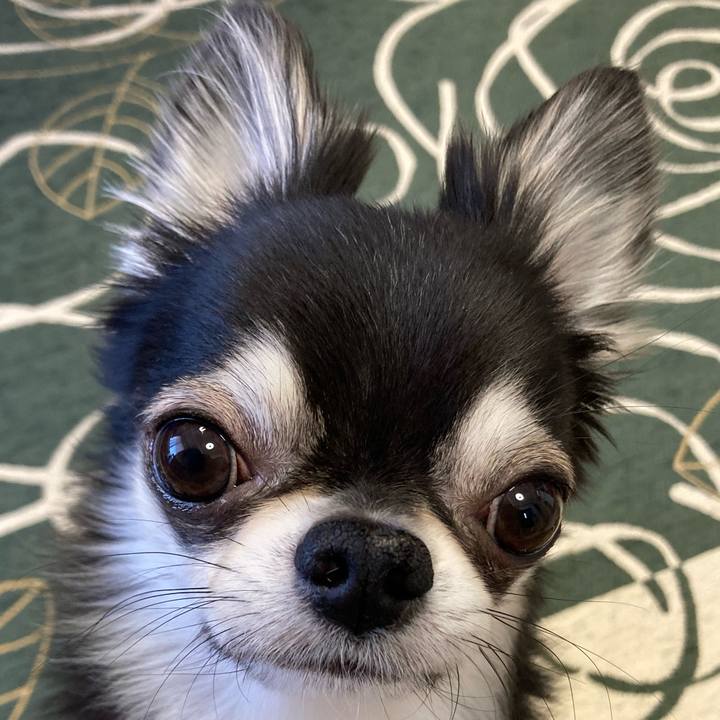 10acfdba c4d9 436d 9ace 4c473f080b05 1647647107750