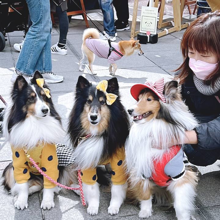 10ad1fc0 950e 431c a34a 0a5fc69858e9 1646579785772