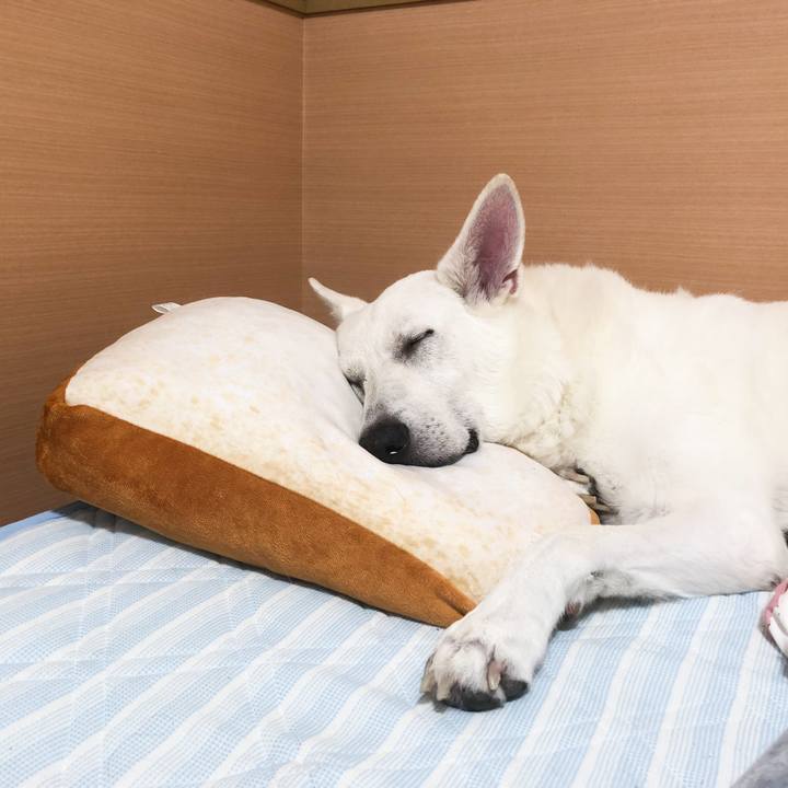 10ad4b1f 8bf9 4e63 9075 32b37ee6bbb8 1540738641922