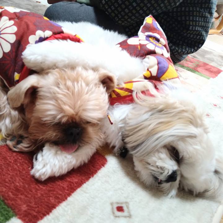 10ad5d66 d54f 4599 a460 704ab5047bf8 1641218246983