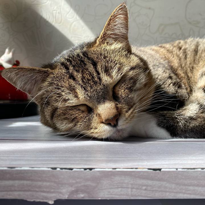 10ad5f95 d948 4229 8265 fb10d99bef25 1646672119032